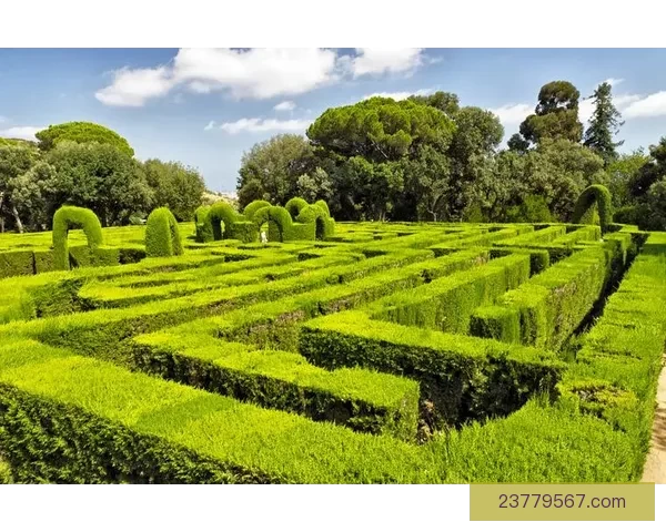 javascriptjava阿姨牵手新手探代码迷宫与成长风景